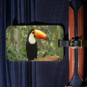 Toucan on tree branch luggage tag