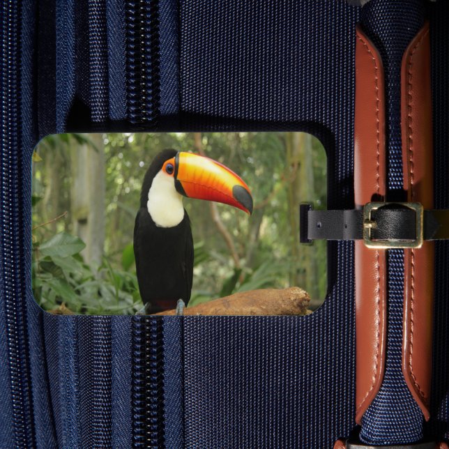 Toucan on tree branch luggage tag (Front Insitu 4)