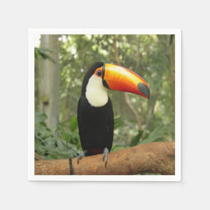 Toucan on tree branch napkin