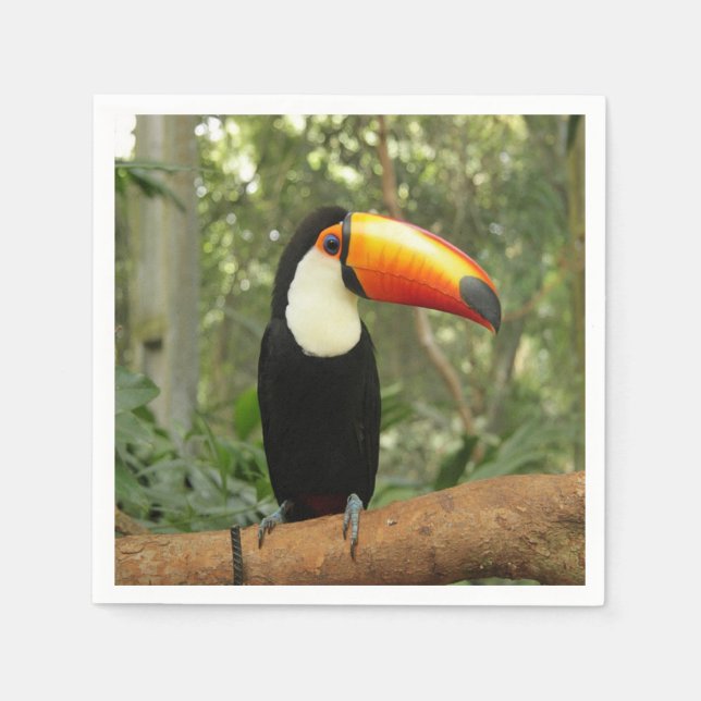 Toucan on tree branch napkin (Front)