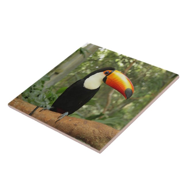 Toucan on tree branch tile (Side)