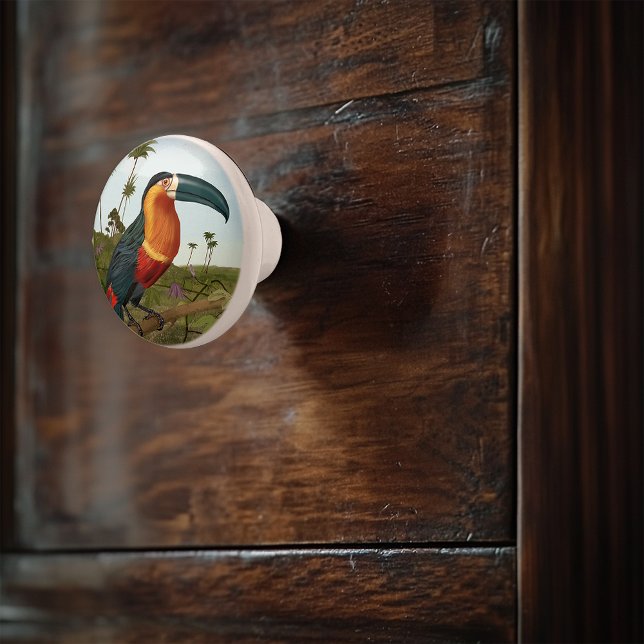 Toucan Painting Ceramic Knob (Creator Uploaded)