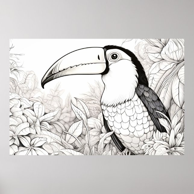 Toucan Peaceful Nature Prairie Sketch Drawing Art Poster (Front)