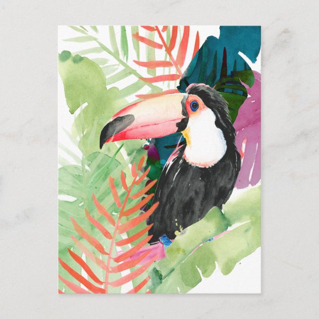 Toucan Portrait with Tropical Leaves Postcard (Front)