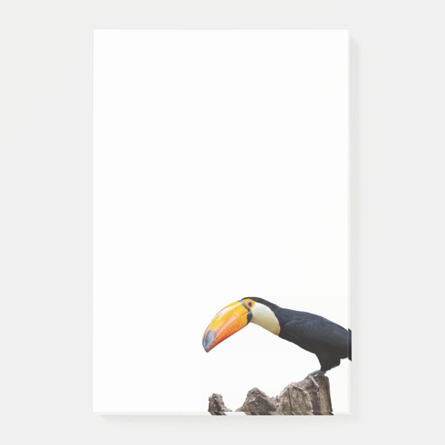 Toucan Post-it Notes (Front)