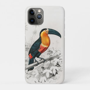 Toucan Ramphastos Illustration Vintage Art Print iPhone 11 Pro Case