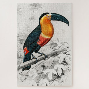 Toucan Ramphastos Illustration Vintage Art Print Jigsaw Puzzle