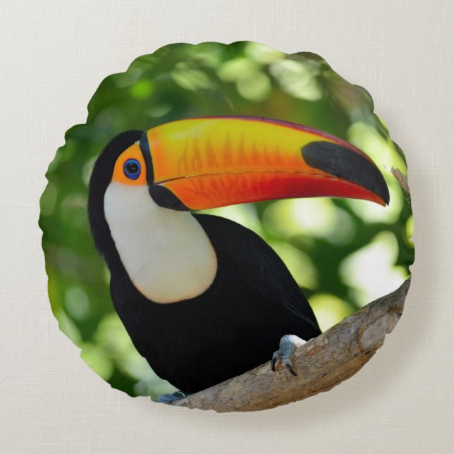 Toucan Round Pillow (Front)