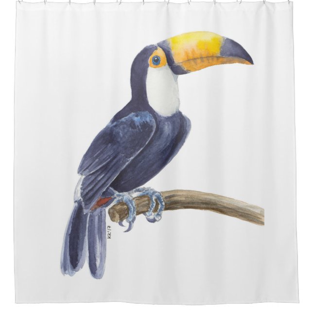 Toucan, tropical bird (Front)