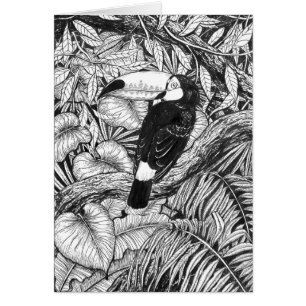 Toucan tropical garden