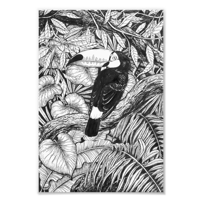 Toucan tropical garden photo print (Front)