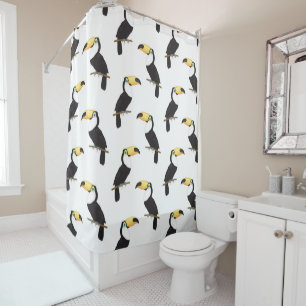 Toucans