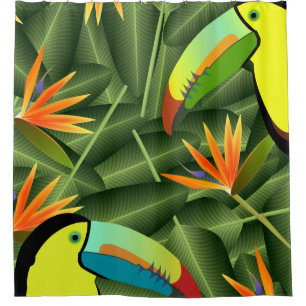 Toucans and Birds of Paradise