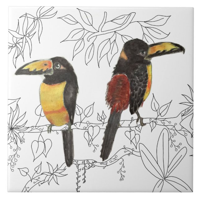 Toucans on a Ceramic Tile (W) (Front)