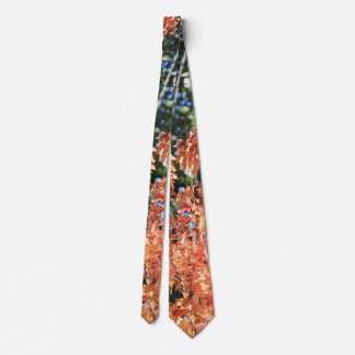 Touch of Fall Tie