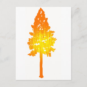 Touch of Sun Postcard