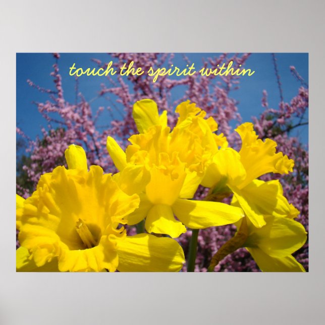 touch the spirit within Art Prints Yellow Daffodil (Front)