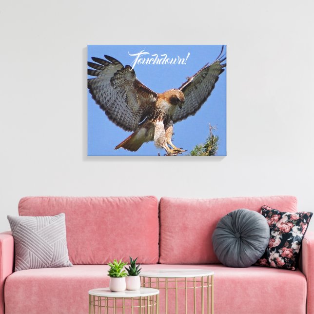 Touchdown Red Tailed HawK Canvas Print (Insitu(LivingRoom))