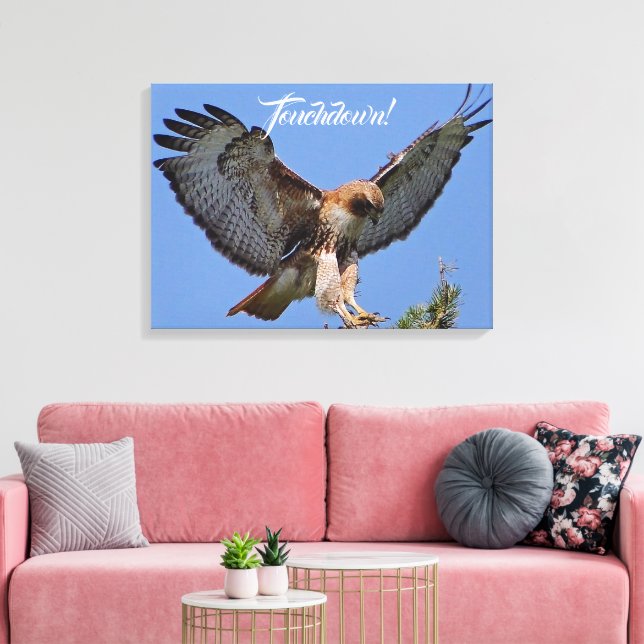 Touchdown Red Tailed HawK Canvas Print (Insitu(LivingRoom))