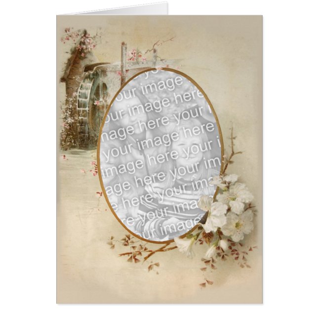 Touche florale 13 (Devant)