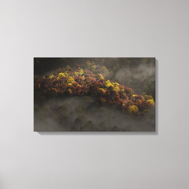 Touched by the Sun Canvas Print (Front)