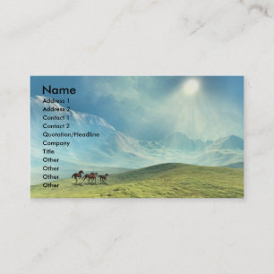 TOUCHING  THE  CLOUDS  BUSINESS  CARD