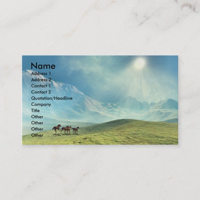 TOUCHING  THE  CLOUDS  BUSINESS  CARD (Front)
