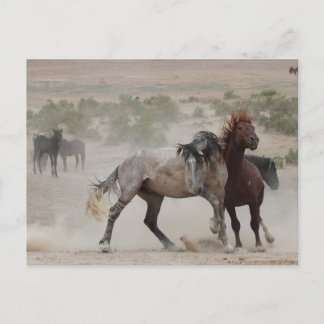Tough Love Postcard