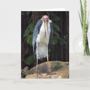 Tough Old Bird Birthday Card