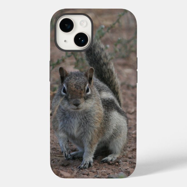 Tough Squirrel Case-Mate iPhone Case (Back)
