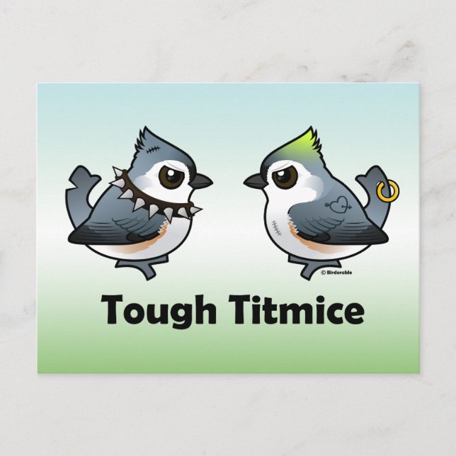 Tough Titmice Postcard (Front)
