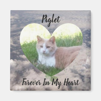 Toujours Dans Mon Coeur Pet Mémorial Magnet