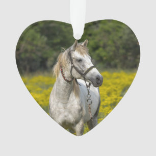 Toujours dans nos coeurs, Cheval Souvenir