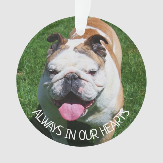 Toujours dans nos cœurs, souvenir de chien (devant)