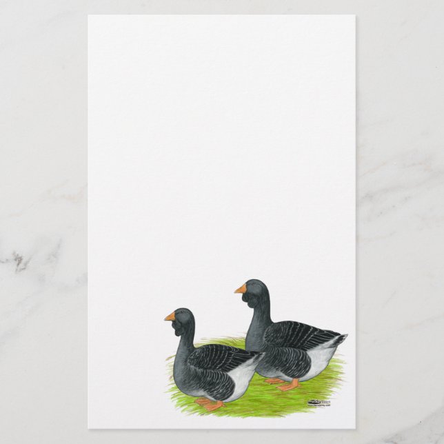 Toulouse Dewlap Geese (Front)