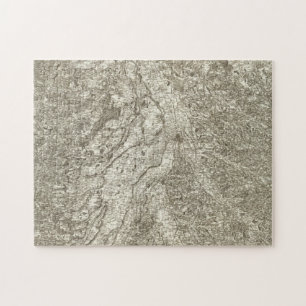 Toulouse Jigsaw Puzzle