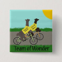 Tour de Fleece Team of Wonder