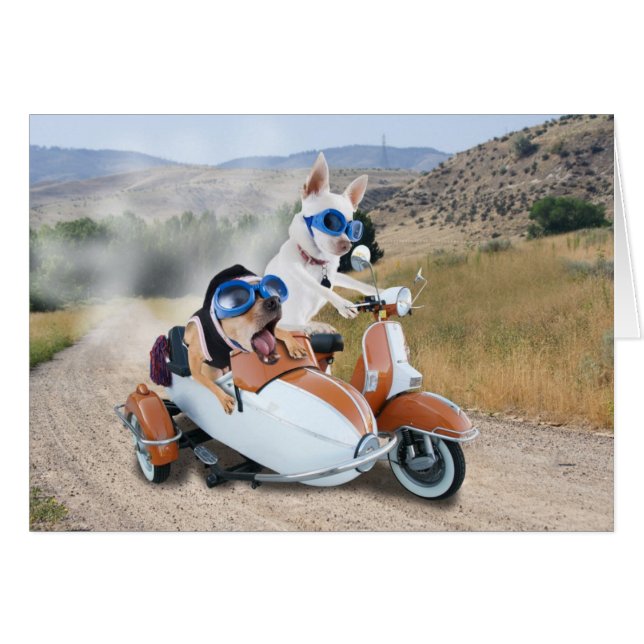 Tour de scooter (Devant horizontal)