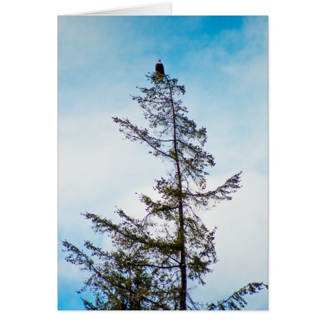 Tour de surveillance (Devant)