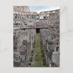 Tour of the Roman Colosseo Postcard