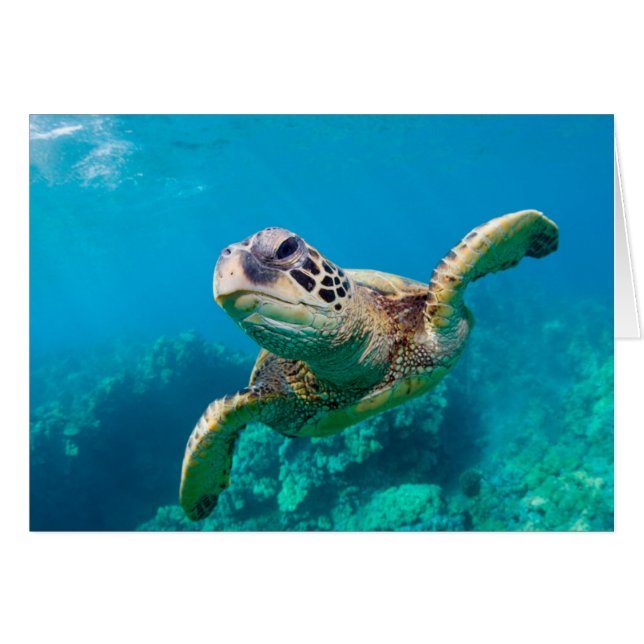 Tourbillon de Green Sea |hawaï (Devant horizontal)