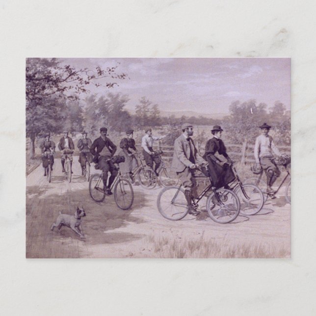 Tourists Riding Bicycles Postcard (Front)