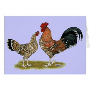 Tournaisis Bantams
