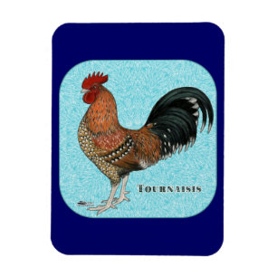 Tournaisis Rooster Magnet
