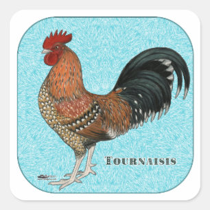 Tournaisis Rooster Square Sticker