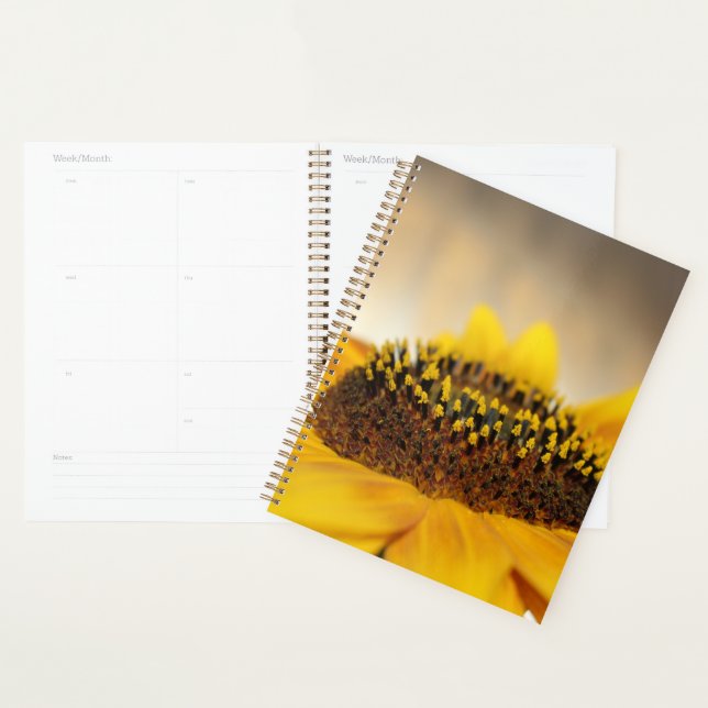 Tournesol (Devant avec enveloppe)
