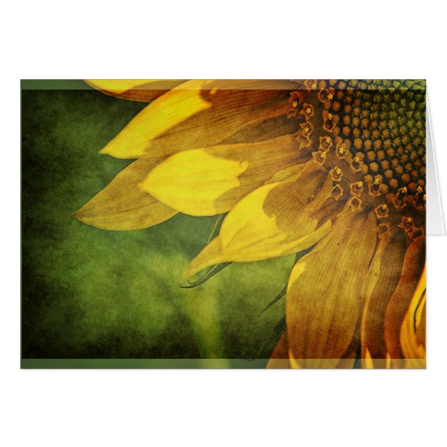 Tournesol (Devant horizontal)