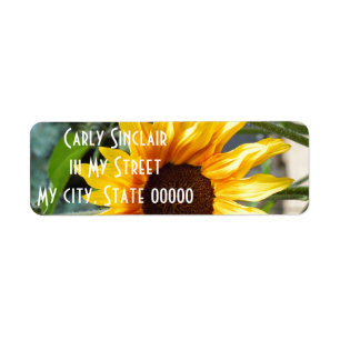 Tournesol ardent
