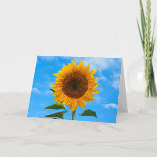 Tournesol avec carte de voeux bleu ciel