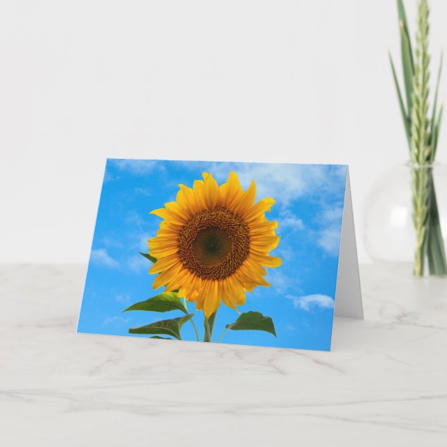 Tournesol avec carte de voeux bleu ciel (Devant)